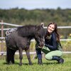 RIDE now Grip-Vollbesatz-Reitleggings