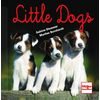 Miniaturansicht: Little Dogs – Ansicht 1