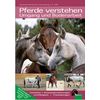 Pferde verstehen - Umgang und Bodenarbeit, FNverlag 