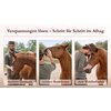 Miniaturansicht: Körperarbeit als Dialog, Pferdeosteophatie trifft Natural Horsemanship &ndash; Ansicht 7