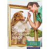 Miniaturansicht: Das Geheimnis glücklicher Hunde – Ansicht 1