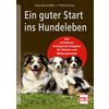 Miniaturansicht: Ein guter Start ins Hundeleben – Ansicht 1
