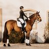 Königs Dressurstiefel Premium Nizza