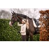 Miniaturansicht: Cavallo Stirnband CAVALLEZA – Ansicht 3