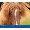 Miniaturansicht: Kalender Isländer &ndash; Ansicht 2