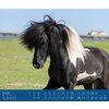 Miniaturansicht: Kalender Isländer &ndash; Ansicht 3