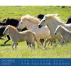 Miniaturansicht: Kalender Isländer &ndash; Ansicht 4