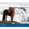 Kalender Isländer - Edition Boiselle