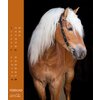 Kalender Haflinger - Edition Boiselle 2025