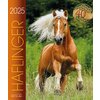 Kalender Haflinger - Edition Boiselle 2025