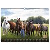 Miniaturansicht: Stallburschen-Kalender &ndash; Ansicht 3