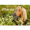 Miniaturansicht: Kalender Pferde – Ansicht 1