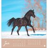 Miniaturansicht: Postkartenkalender Pferde 2025 - Starke Freunde – Ansicht 2