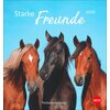 Miniaturansicht: Postkartenkalender Pferde 2025 - Starke Freunde – Ansicht 1