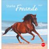 Miniaturansicht: Postkartenkalender Pferde 2027 - Starke Freunde &ndash; Ansicht 1