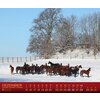 Miniaturansicht: Kalender Haupt- & Landgestüt Marbach – Ansicht 5