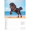 Miniaturansicht: Wochenplaner Pferde – Ansicht 5