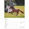 Miniaturansicht: Wochenplaner Pferde – Ansicht 3