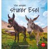 Postkartenkalender Esel 2025