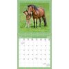 Kalender Pferde 2024