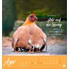 Postkartenkalender Hühner 2025 - Ach, du verrücktes Huhn