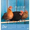 Postkartenkalender Hühner 2025 - Ach, du verrücktes Huhn