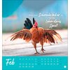 Postkartenkalender Hühner 2025 - Ach, du verrücktes Huhn