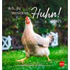 Postkartenkalender Hühner 2025 - Ach, du verrücktes Huhn