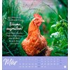 Miniaturansicht: Postkartenkalender Hühner 2026 - Ach, du verrücktes Huhn – Ansicht 3