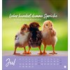 Miniaturansicht: Postkartenkalender Hühner 2026 - Ach, du verrücktes Huhn – Ansicht 4