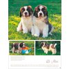 Posterkalender Hundekinder 2025