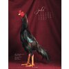 Kalender 2025 Pretty Chicks