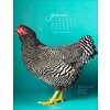 Kalender 2025 Pretty Chicks