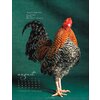 Kalender 2025 Pretty Chicks