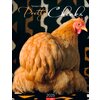 Kalender 2025 Pretty Chicks