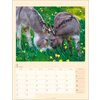 Miniaturansicht: Kalender Esel 2026 – Ansicht 3