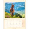 Miniaturansicht: Kalender Esel 2026 – Ansicht 5