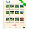 Miniaturansicht: Kalender Esel 2026 – Ansicht 7