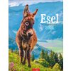 Miniaturansicht: Kalender Esel 2026 – Ansicht 1
