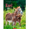 Miniaturansicht: Kalender Esel 2027 &ndash; Ansicht 1