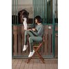 Miniaturansicht: Cheval de Luxe Thermo-Reitleggings Orléans – Ansicht 5