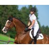 Cheval de Luxe Turniershirt