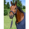 TOMMY HILFIGER EQUESTRIAN Halfter Lincoln