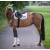 Miniaturansicht: BOSS EQUESTRIAN Springschabracke Cheltenhem Tape &ndash; Ansicht 11