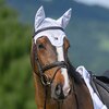 Miniaturansicht: TOMMY HILFIGER EQUESTRIAN Fliegenhaube Liberty &ndash; Ansicht 1