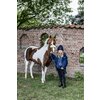 Miniaturansicht: ARIAT Stable Jacket 2.0, für Kinder und Jugendliche – Ansicht 2