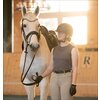 Miniaturansicht: Cheval de Luxe Funktionstop &ndash; Ansicht 6