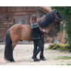 Miniaturansicht: black forest Jodhpur-Reithose &ndash; Ansicht 4