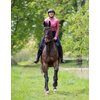 Miniaturansicht: RIDE now Vollbesatz-Reithose mit Grip &ndash; Ansicht 11