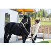 Miniaturansicht: RIDE now Strickstirnband mit Logopatch &ndash; Ansicht 4